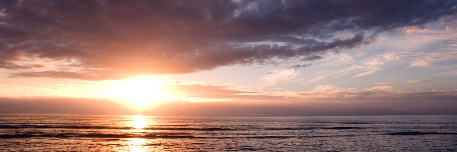 MarkGoldenberg1's profile banner image