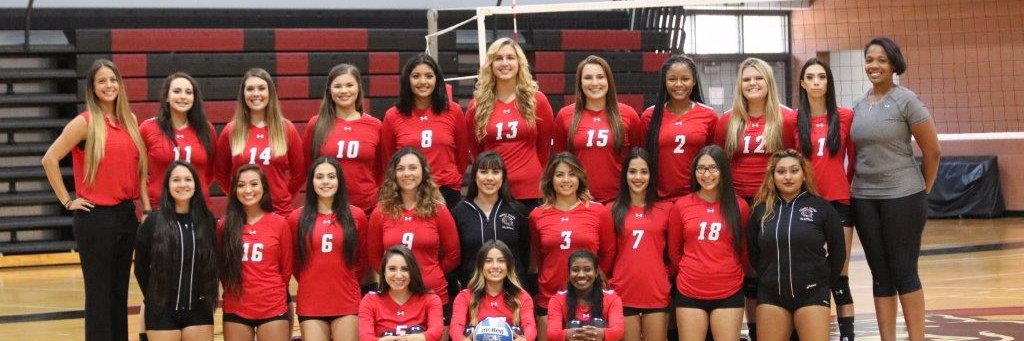 Chaffey College VB banner