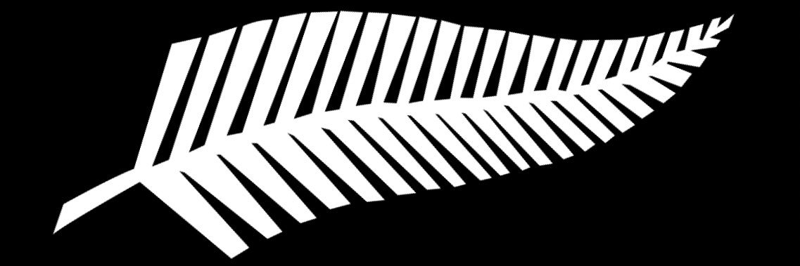 Hailey Breakwell banner