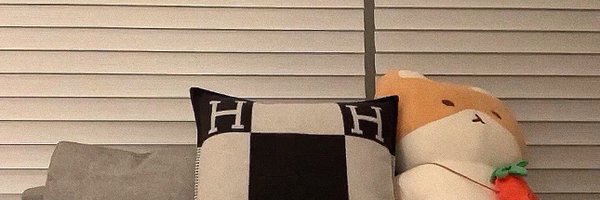 mochibyunbun Profile Banner