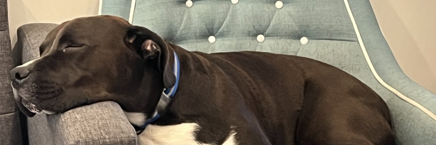 shereeeeeeeeen banner