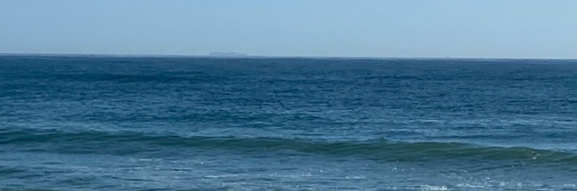 Shannon Donahue banner