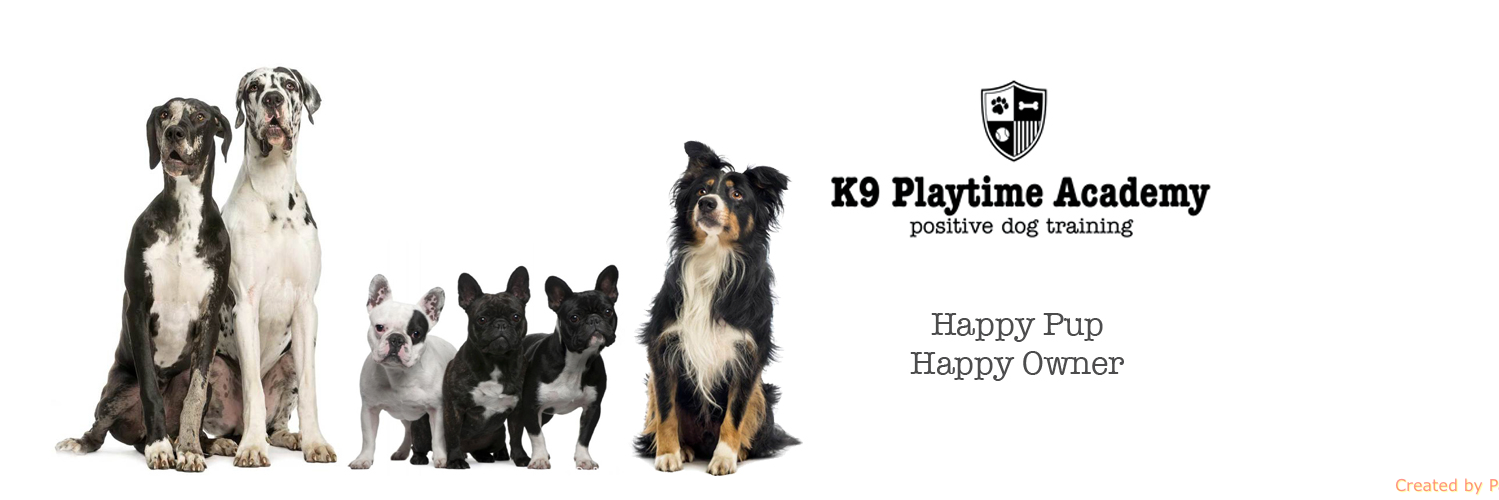 K9PlaytimeA's profile banner image