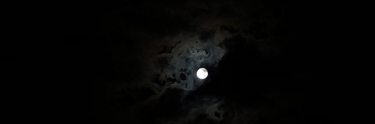 laissgomes_'s profile banner image