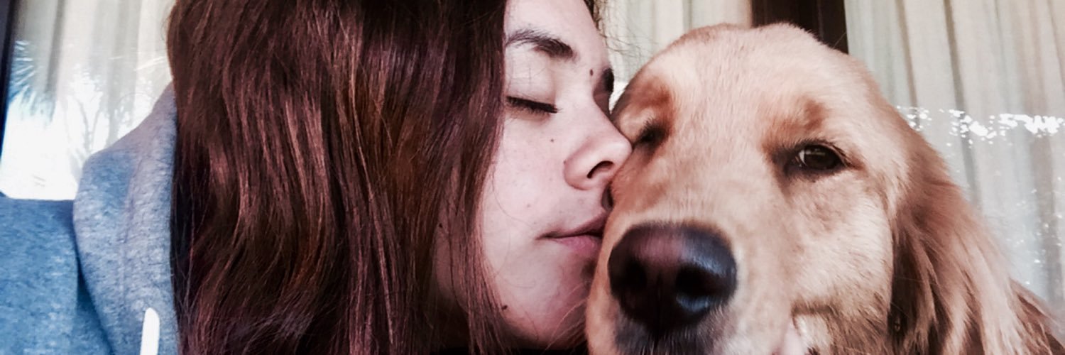 lulasills's profile banner image