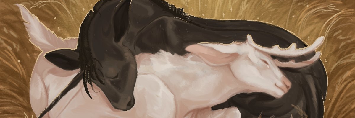 takaalive_'s profile banner image