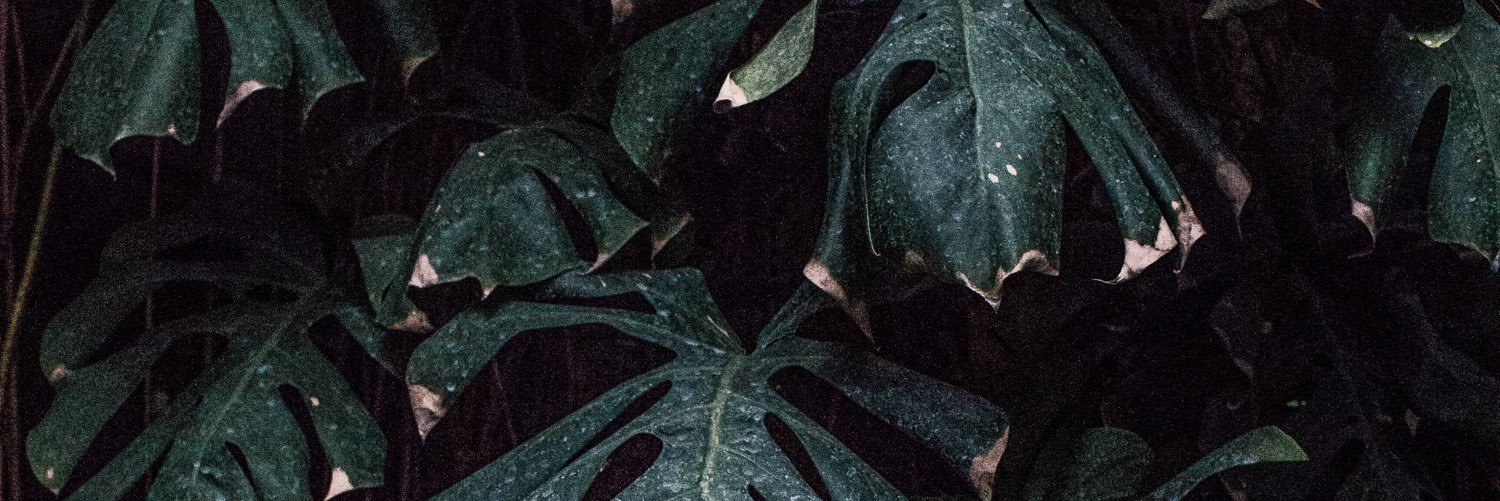 tommwillis's profile banner image