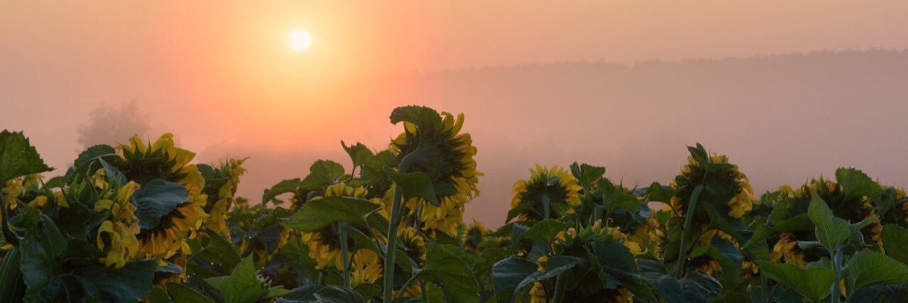 kateheaps's profile banner image