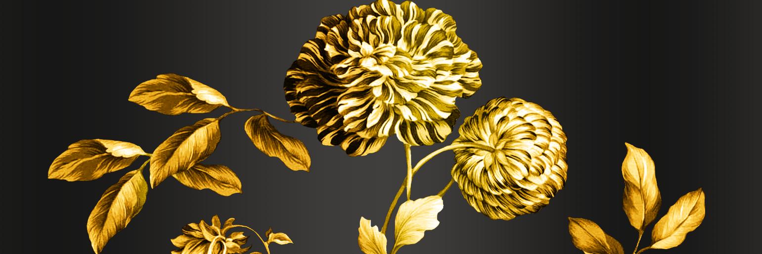 Leonbience's profile banner image