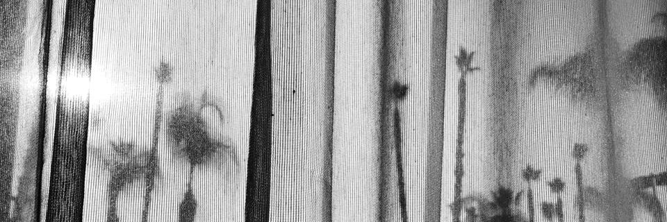 LauraQuendolin's profile banner image