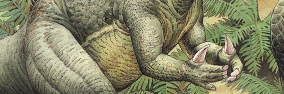 James Blunt-head trauma banner