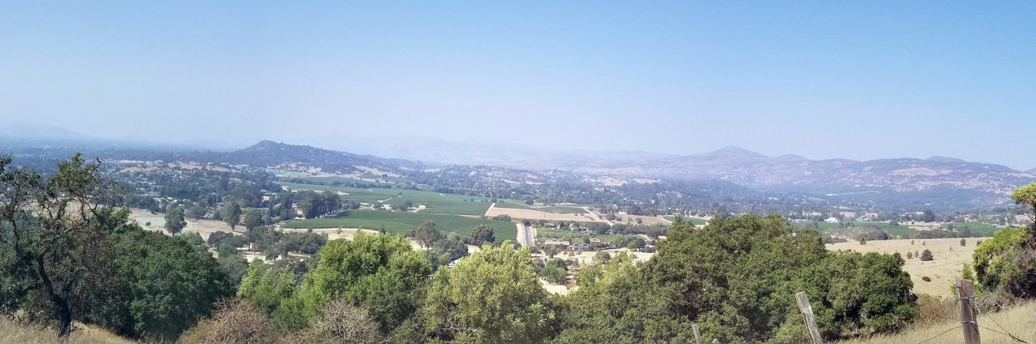 Chris Schreiner banner