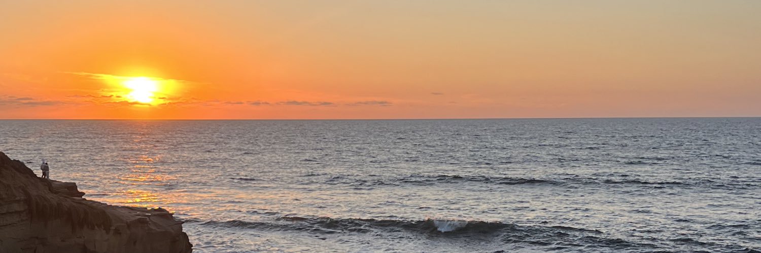 Lilymxriee's profile banner image