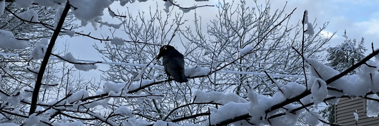 BlackCrow23 banner