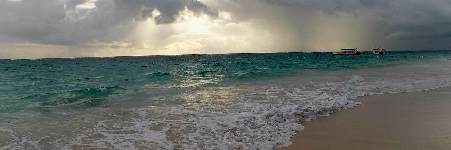 Leela1979's profile banner image