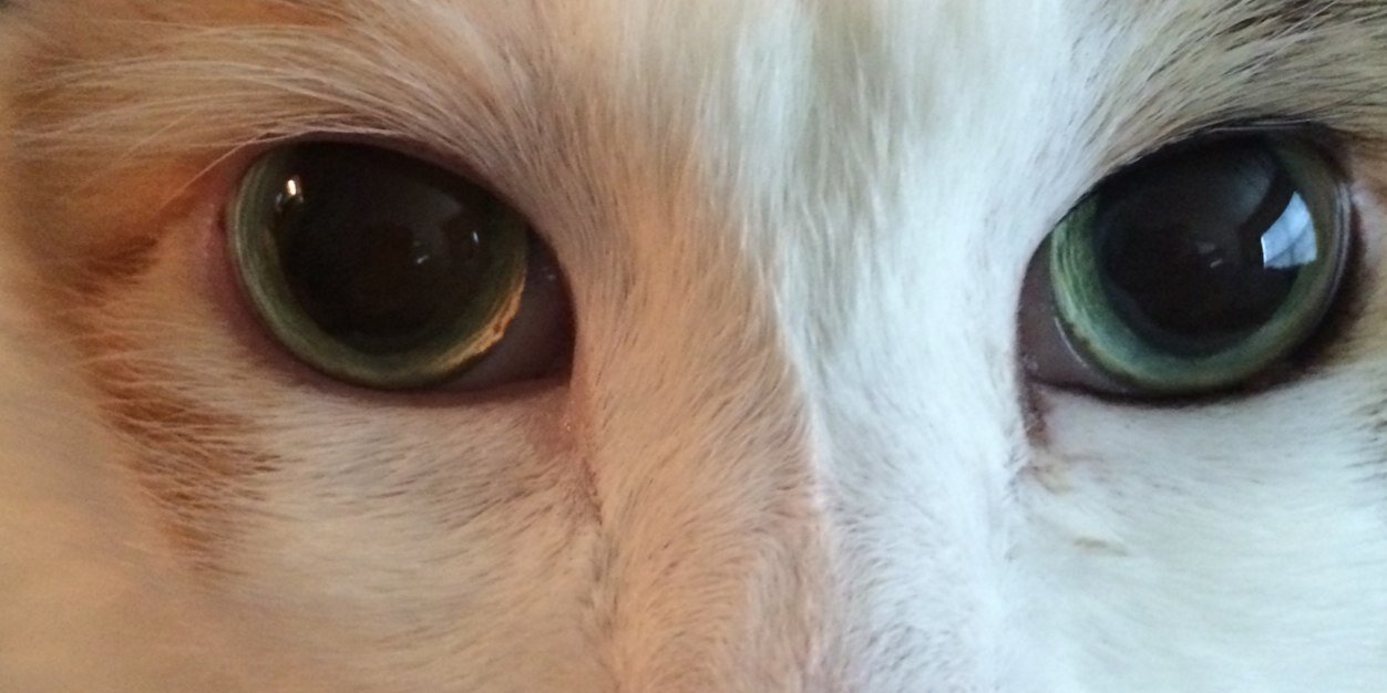 pattywhacker's profile banner image
