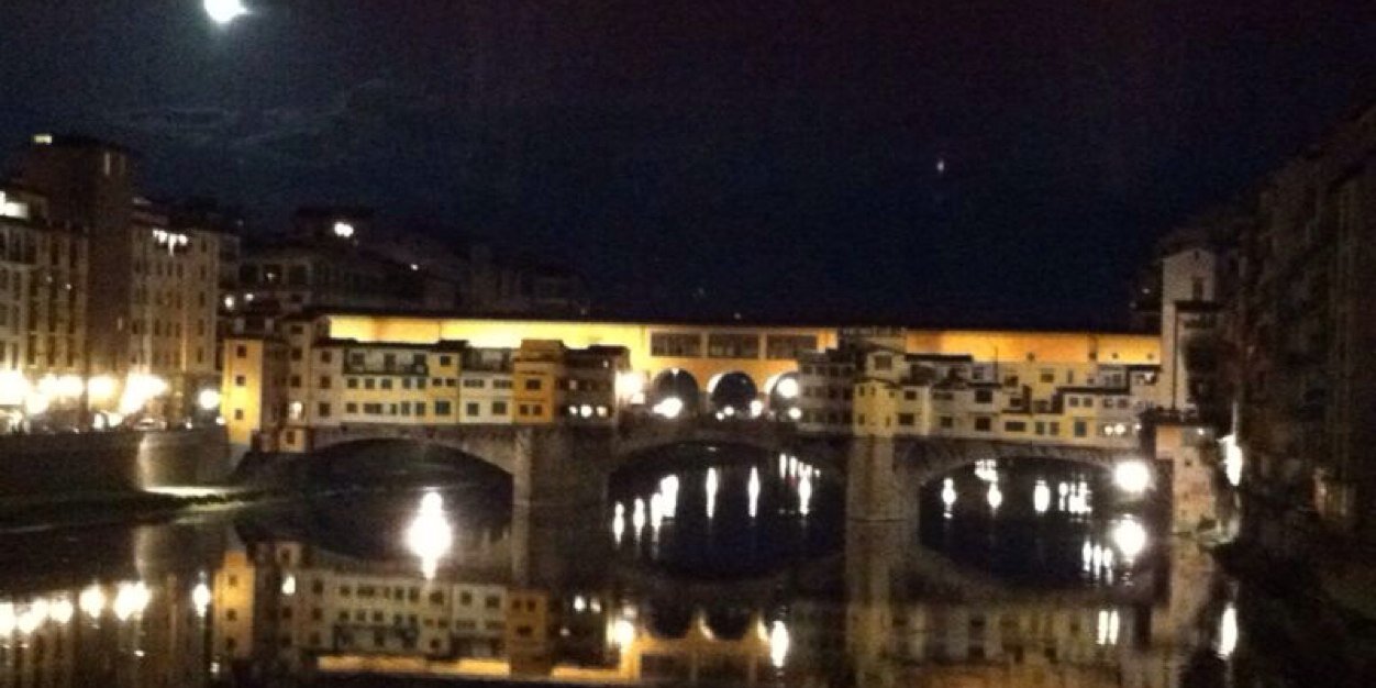 Romina Palma Cruces banner