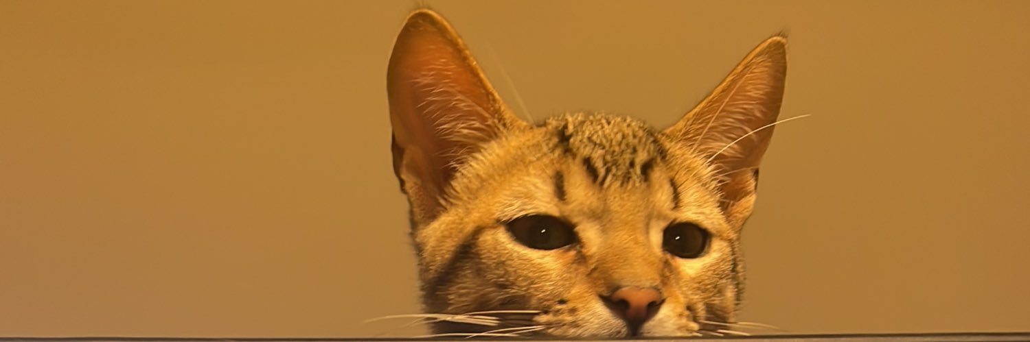 xime banner