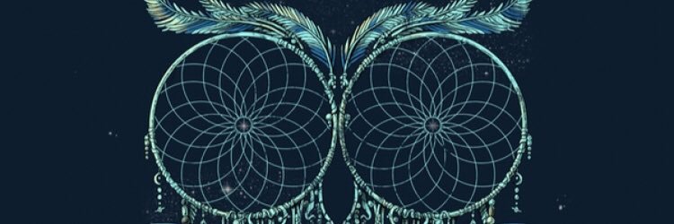 dimosaurus's profile banner image