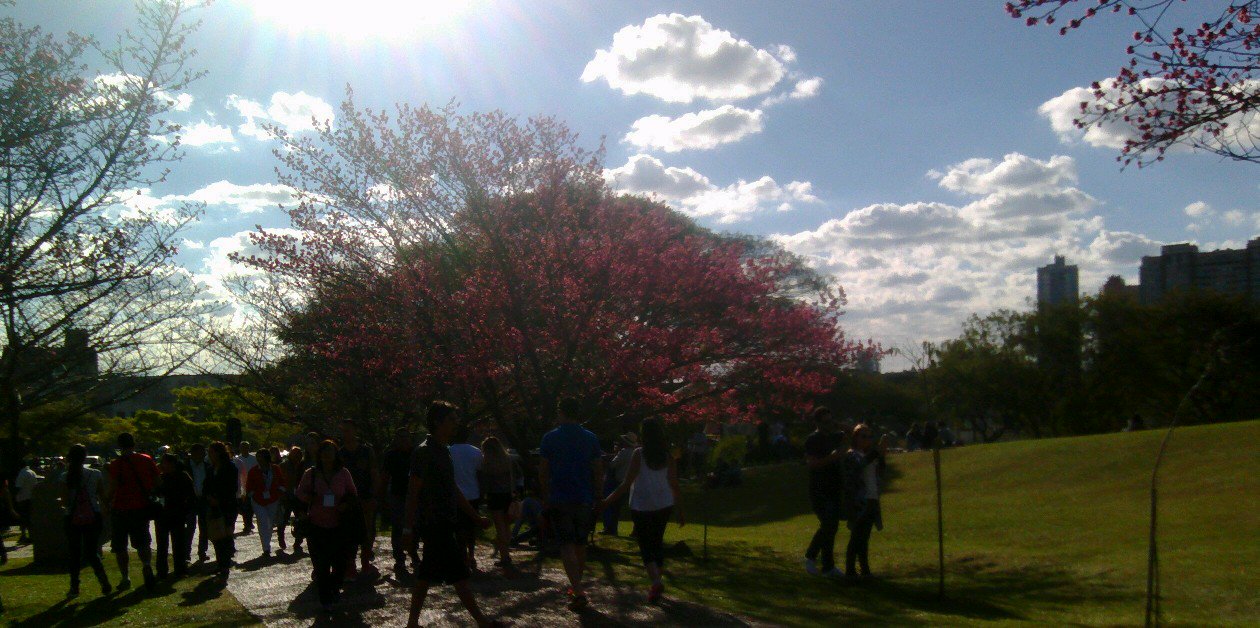 Marilinarez12's profile banner image