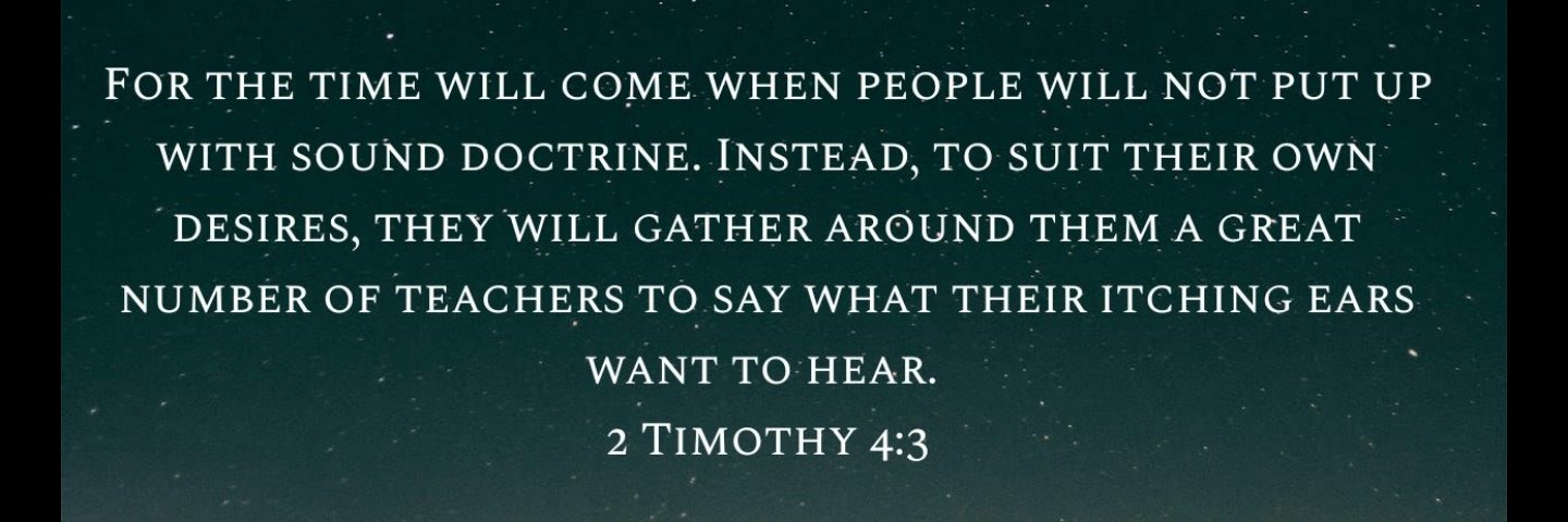 Connor Willis banner