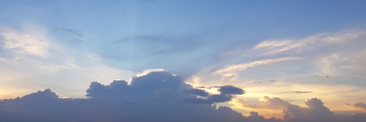nattaya_ch's profile banner image