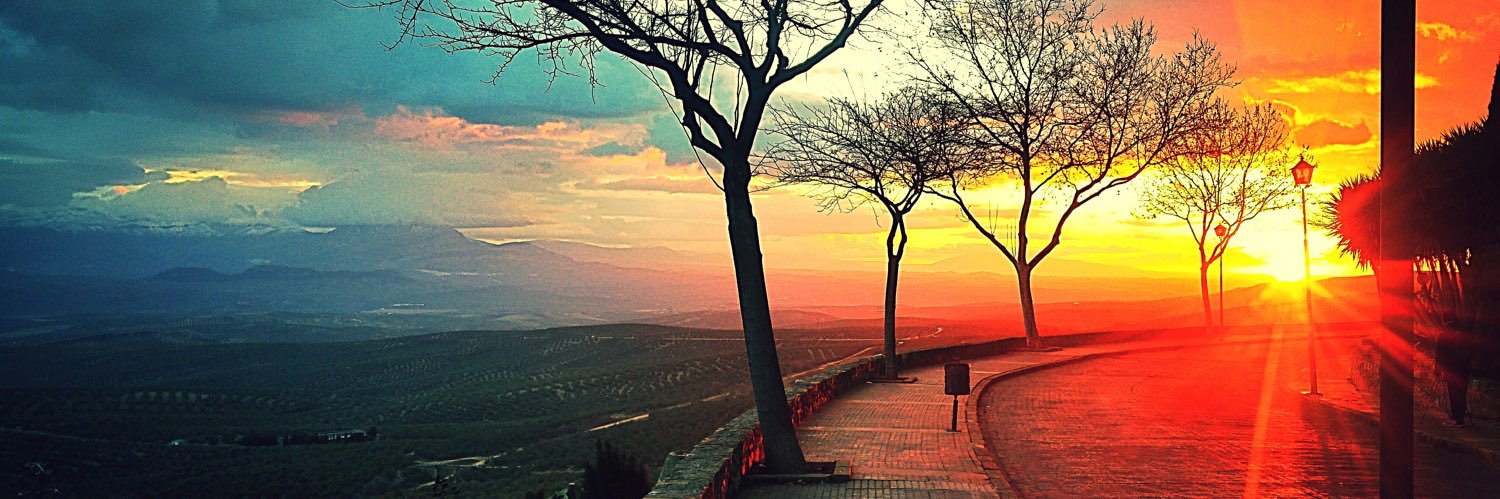aflorespalma's profile banner image