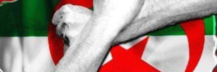Tayebameur1's profile banner image