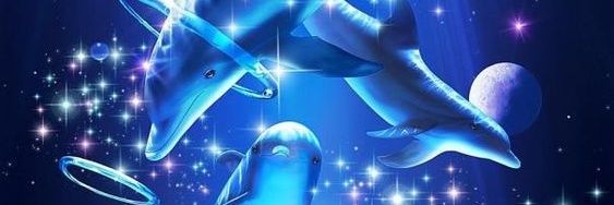 blivy 🌸🐬 banner