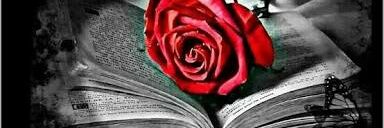 badmashmaria's profile banner image