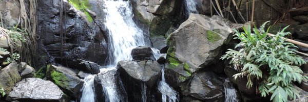 primateresearch Profile Banner