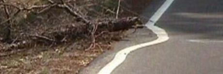 LOST TIME 🇺🇸 banner