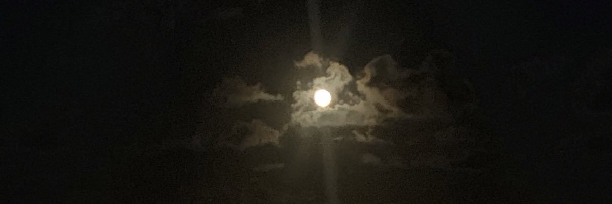 oceeys's profile banner image