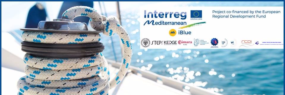 iBLUE Project banner