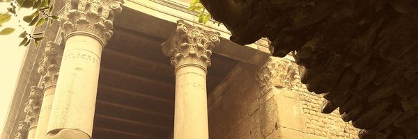 EstudisOsonencs Profile Banner