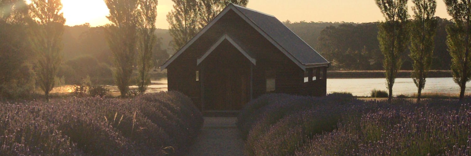 lookforgrace's profile banner image