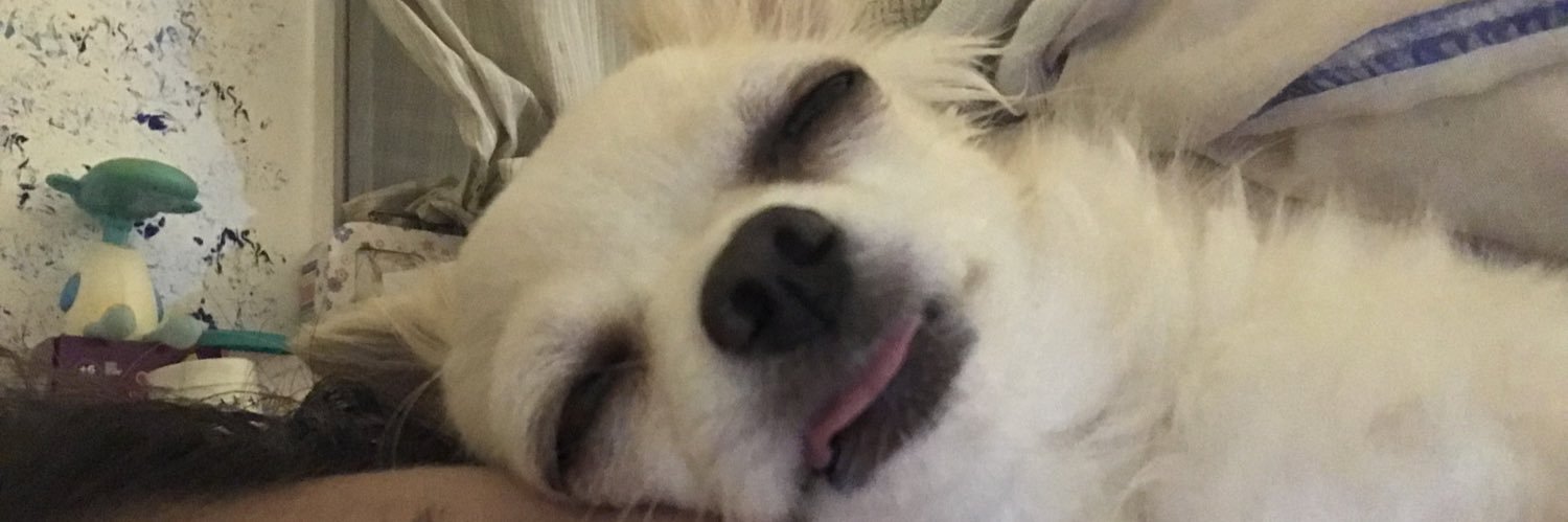 S O L banner