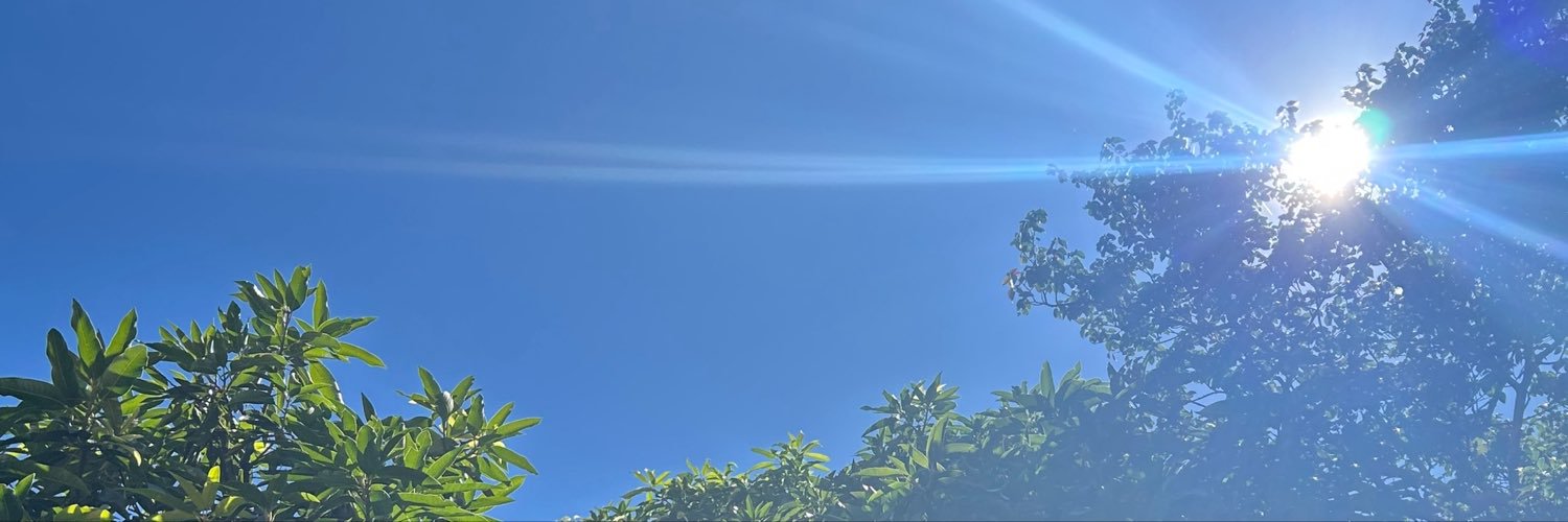 SeraphimAnna's profile banner image