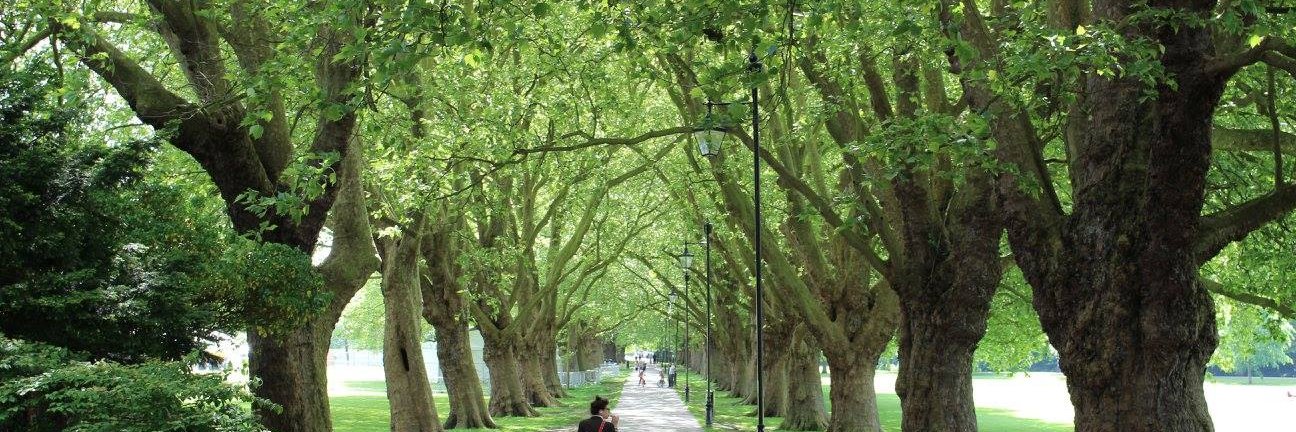 Chantal Babb de Villiers banner