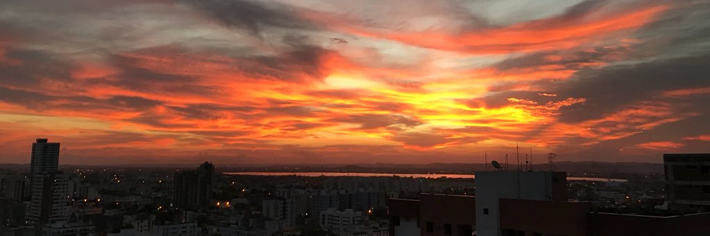 brunaafontes's profile banner image
