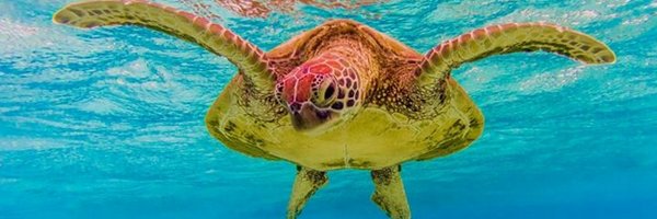 Will1Winter Profile Banner