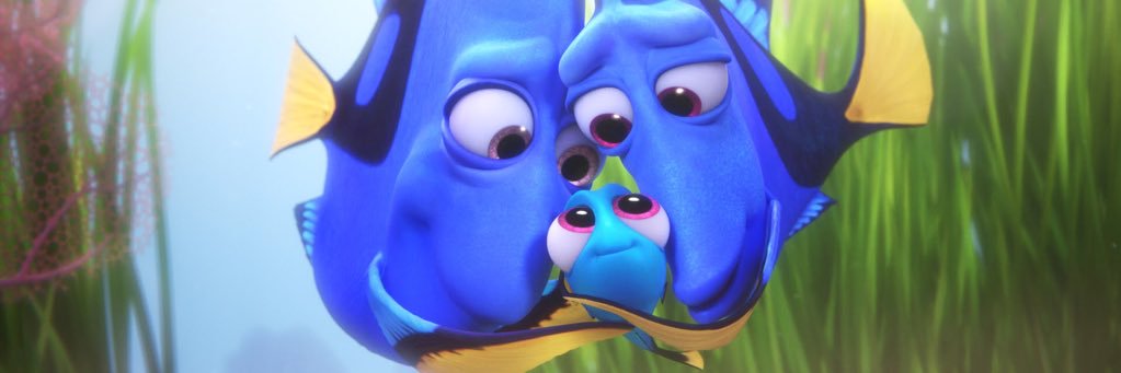dorydad's profile banner image