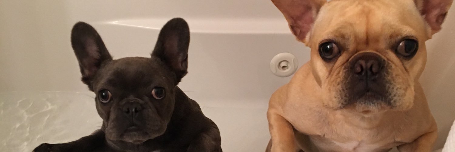 Shayne Gostisbehere banner