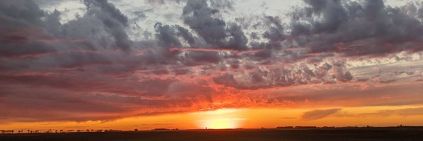 ToastedStroodel Profile Banner