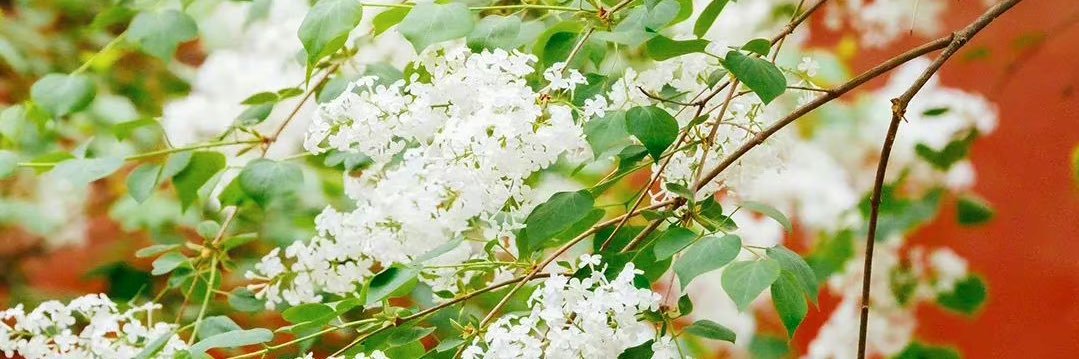 男少妇 banner