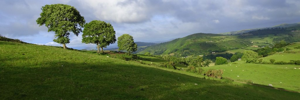NantLodges's profile banner image