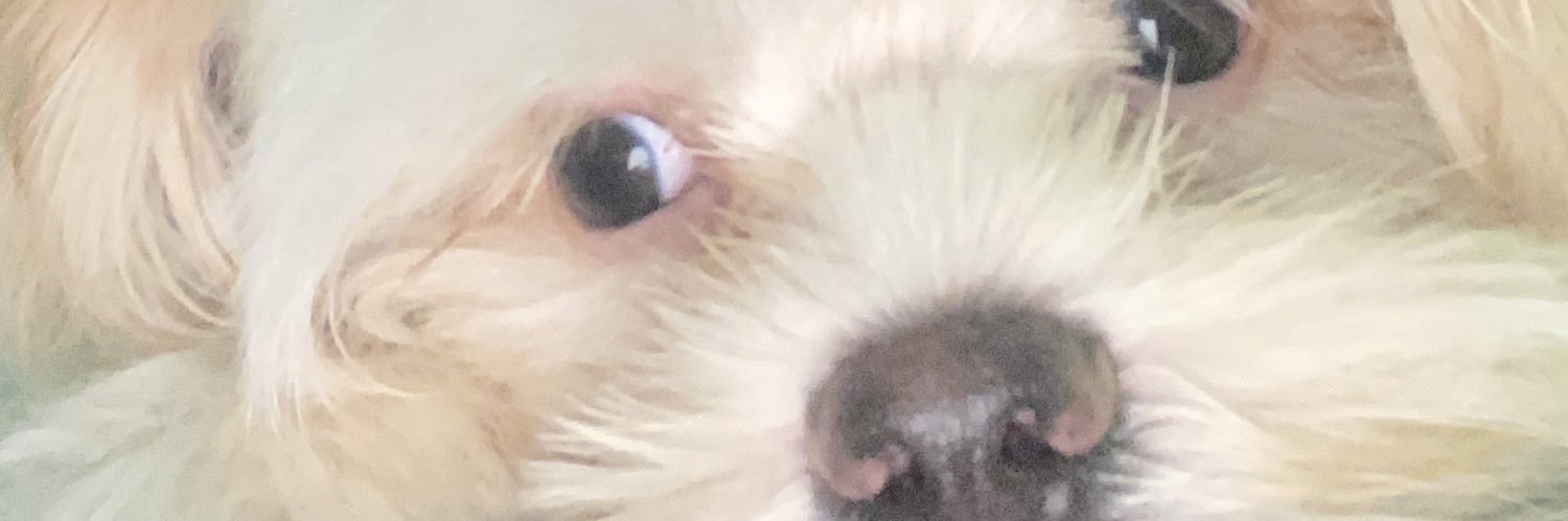 mavisodumb's profile banner image