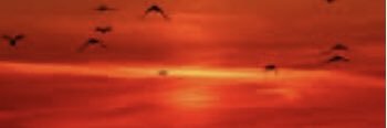 Jay🦋💕 banner