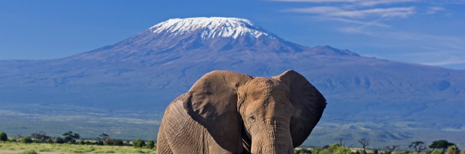 abdallah hussein banner