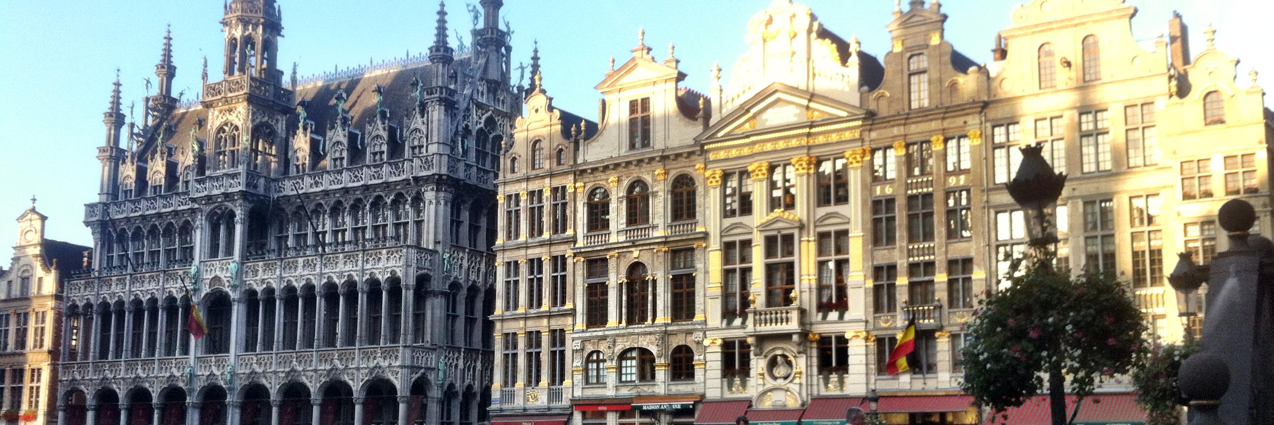 Ziga Turk 🇸🇮 🇺🇦 🇮🇱 banner